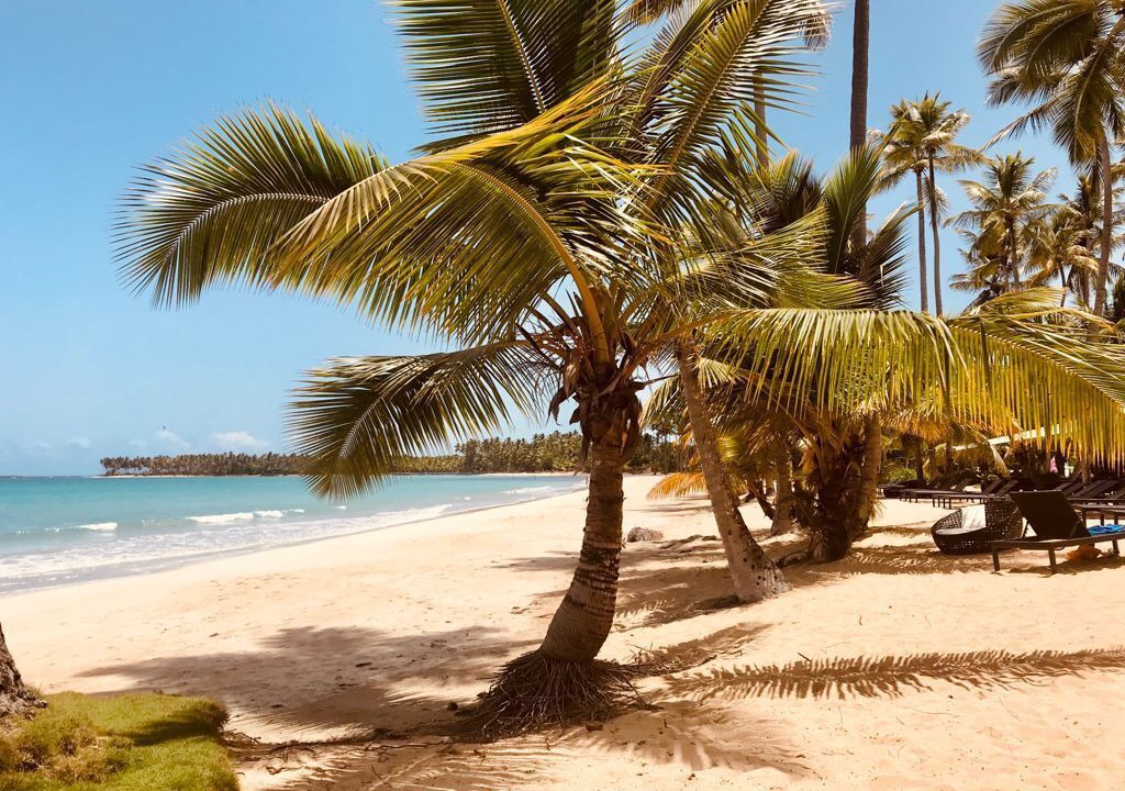 Photo of Others in Las Terrenas