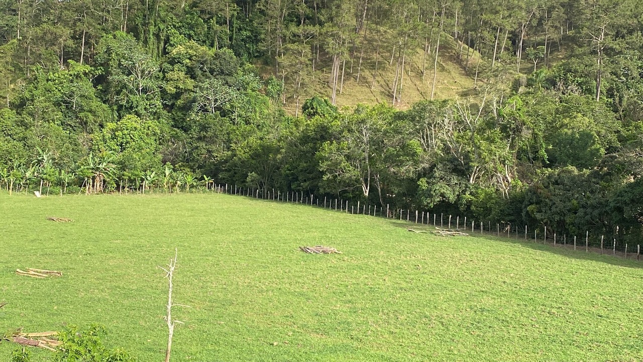 Photo of Outdoor in Jarabacoa