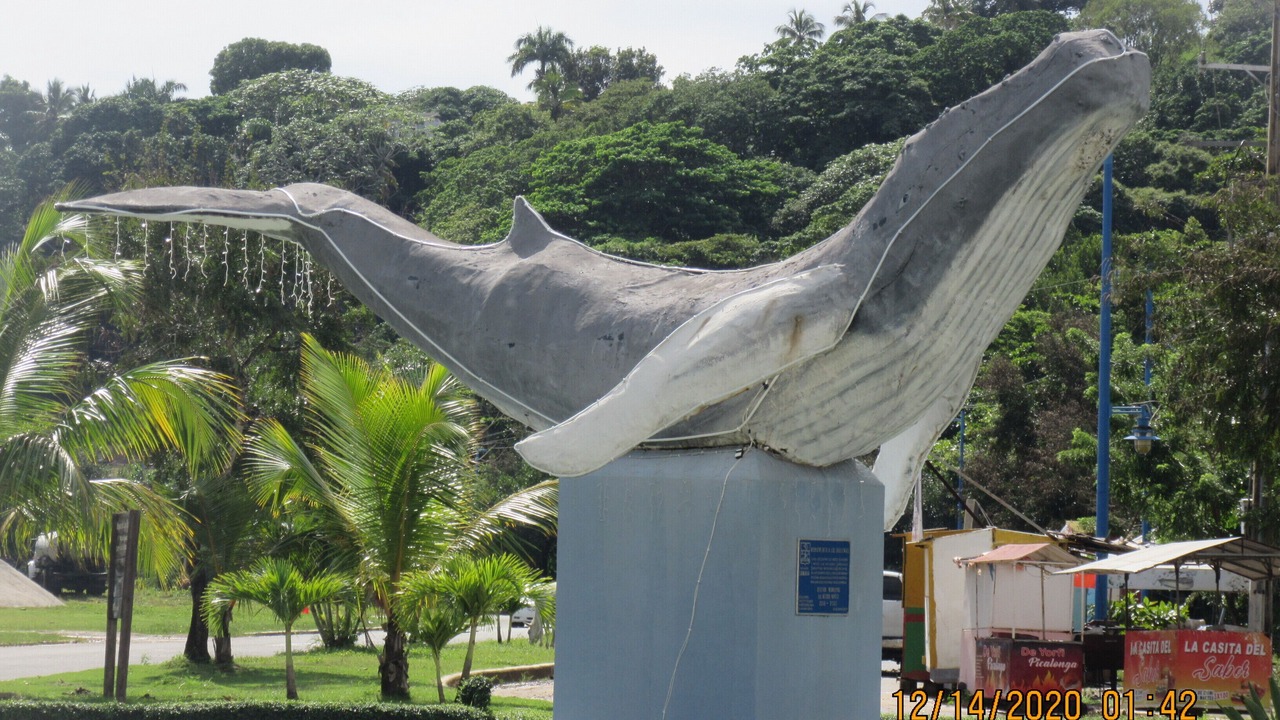 Photo of Others in Puerto Bahia