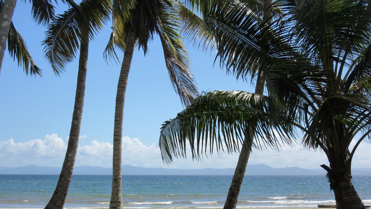 Photo of Others in Puerto Bahia