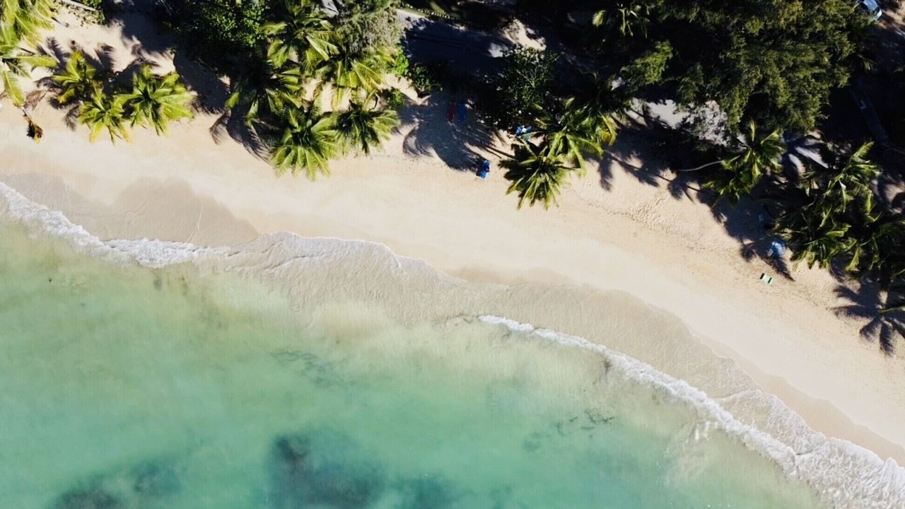 Photo of Others in Las Terrenas