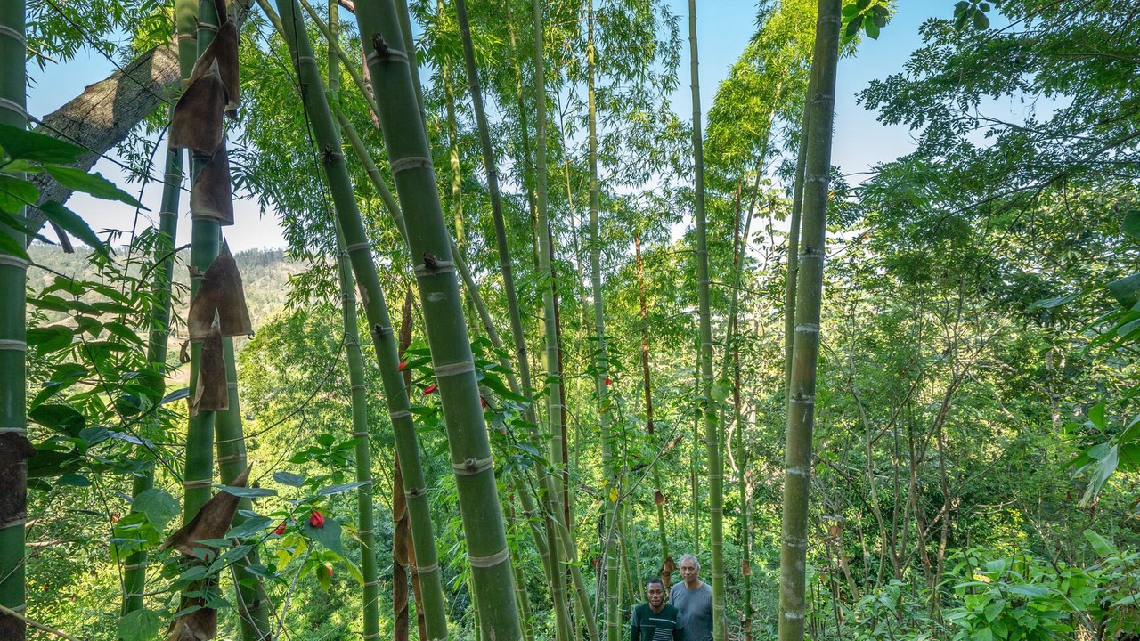 Photo of Outdoor in Jarabacoa