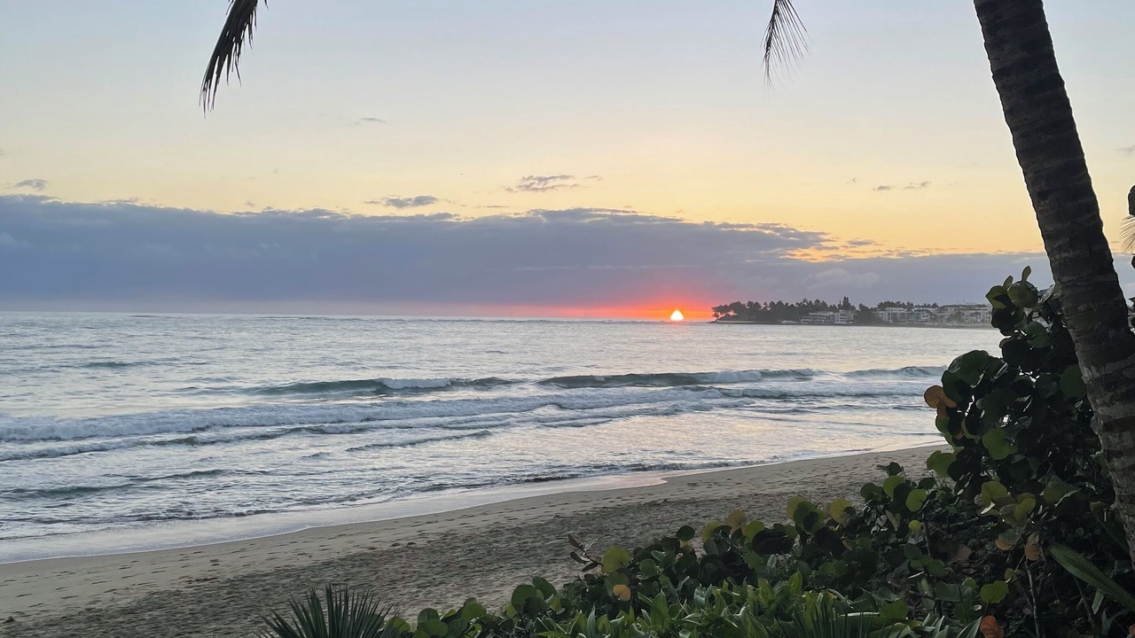 Photo of Others in Cabarete