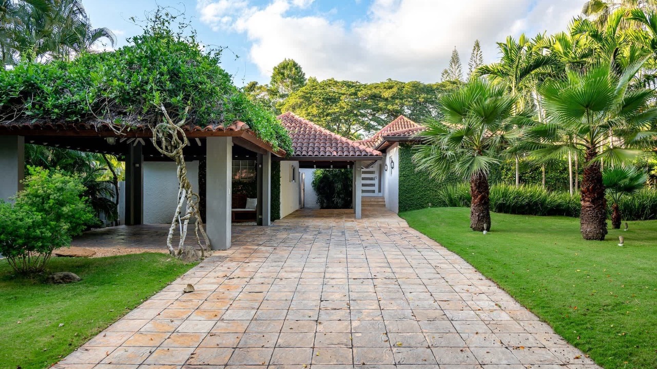 Photo of Outdoor in Los Lagos