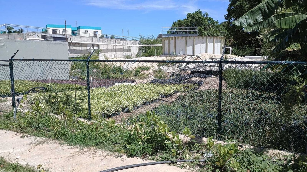 Photo of Outdoor in Veron