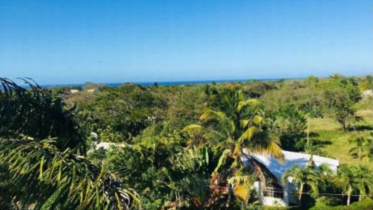 Photo of Outdoor in La Mulata