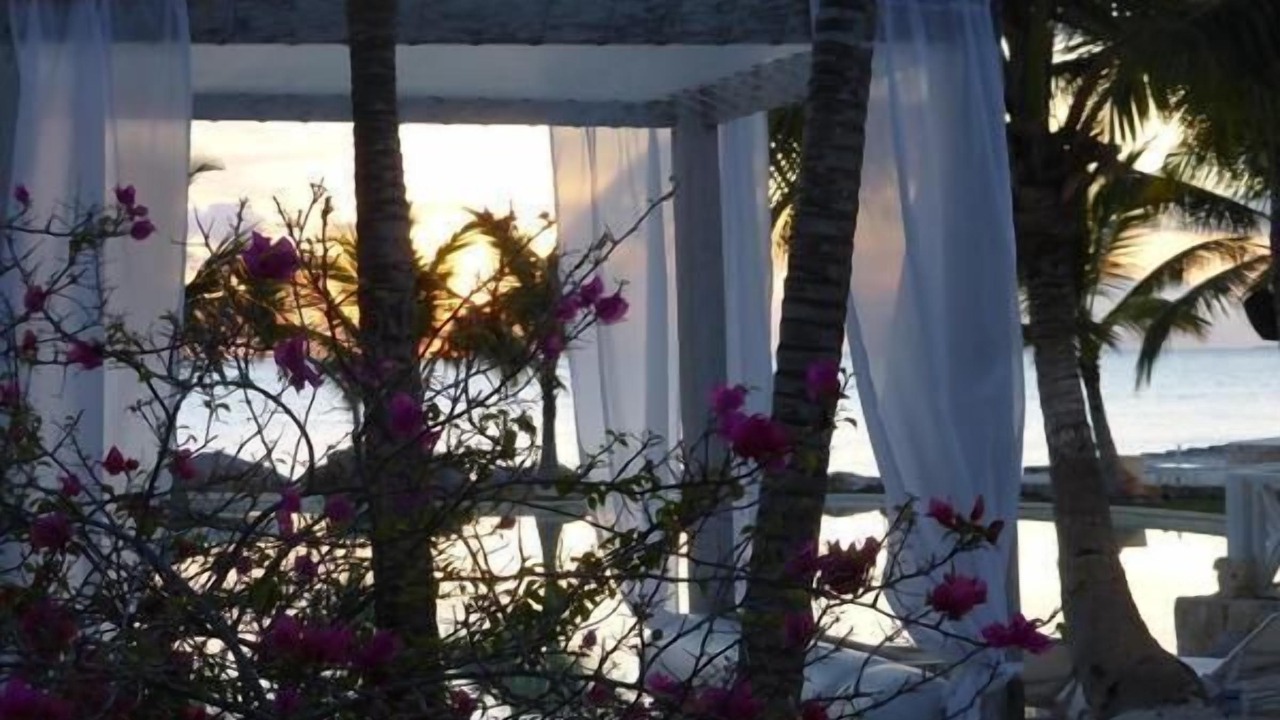 Photo of Others in Dominicus