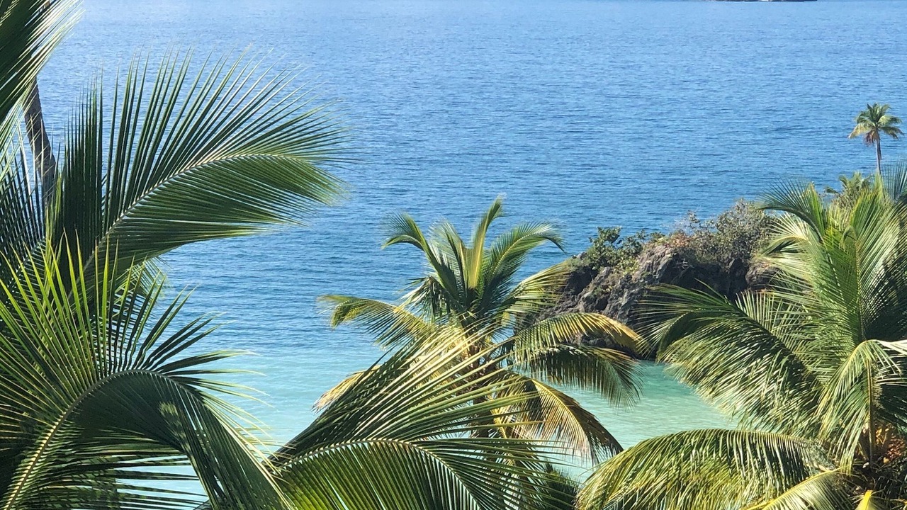 Photo of Others in Las Galeras