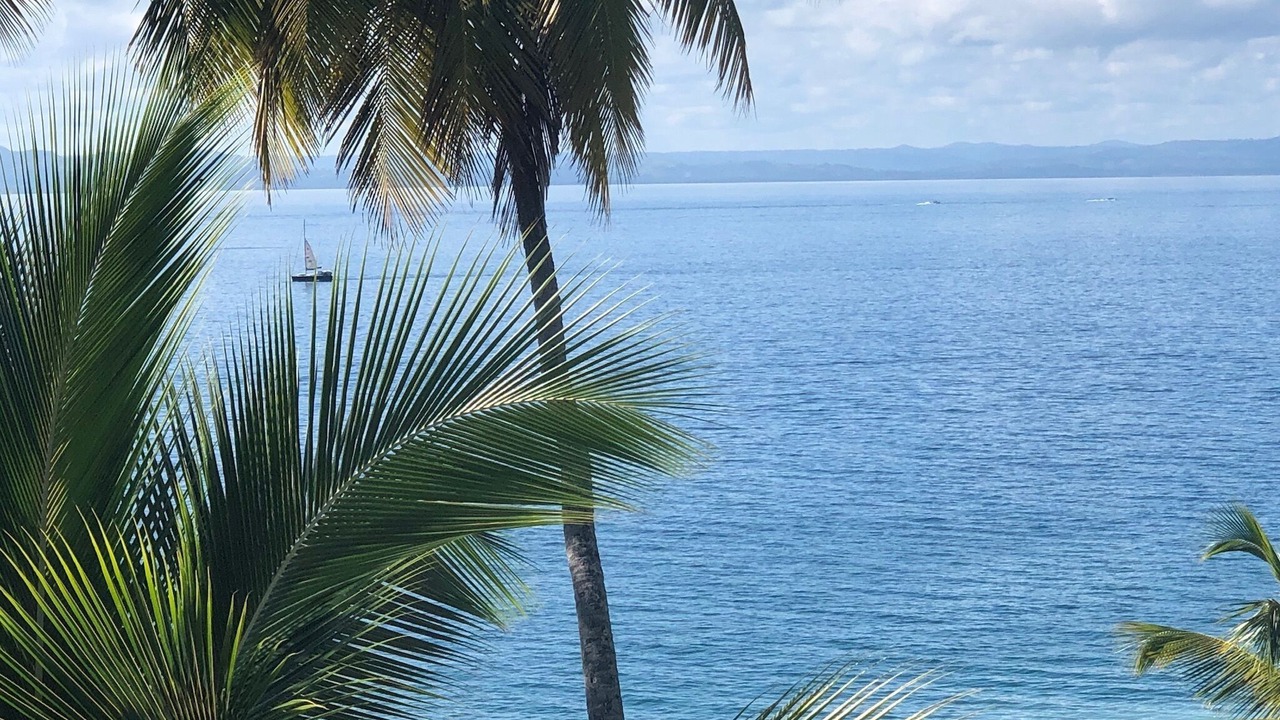 Photo of Others in Las Galeras