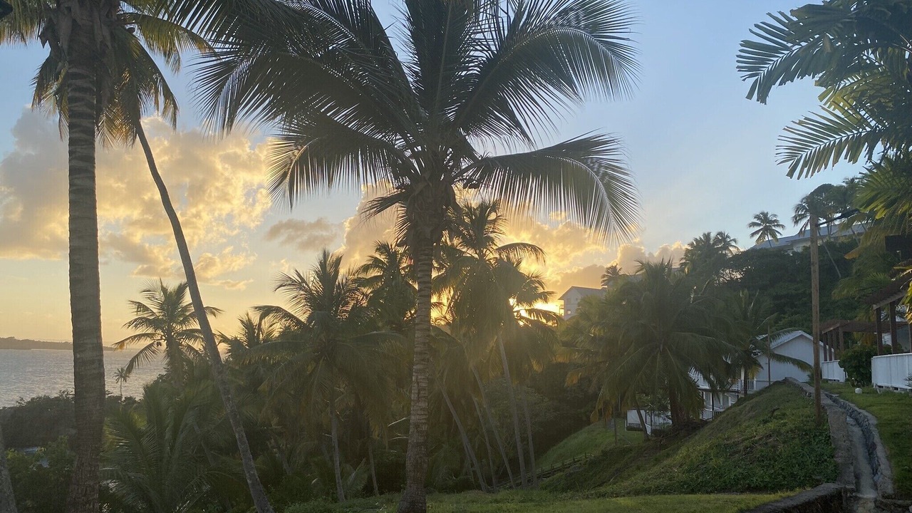Photo of Outdoor in Las Galeras