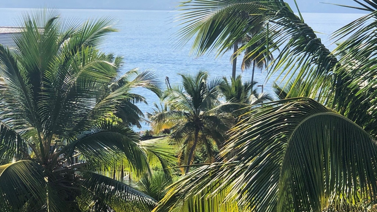 Photo of Outdoor in Las Galeras