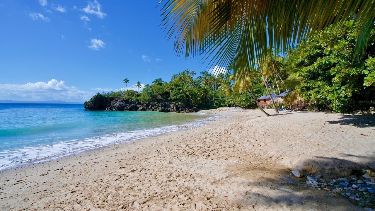 Photo of Others in Las Galeras