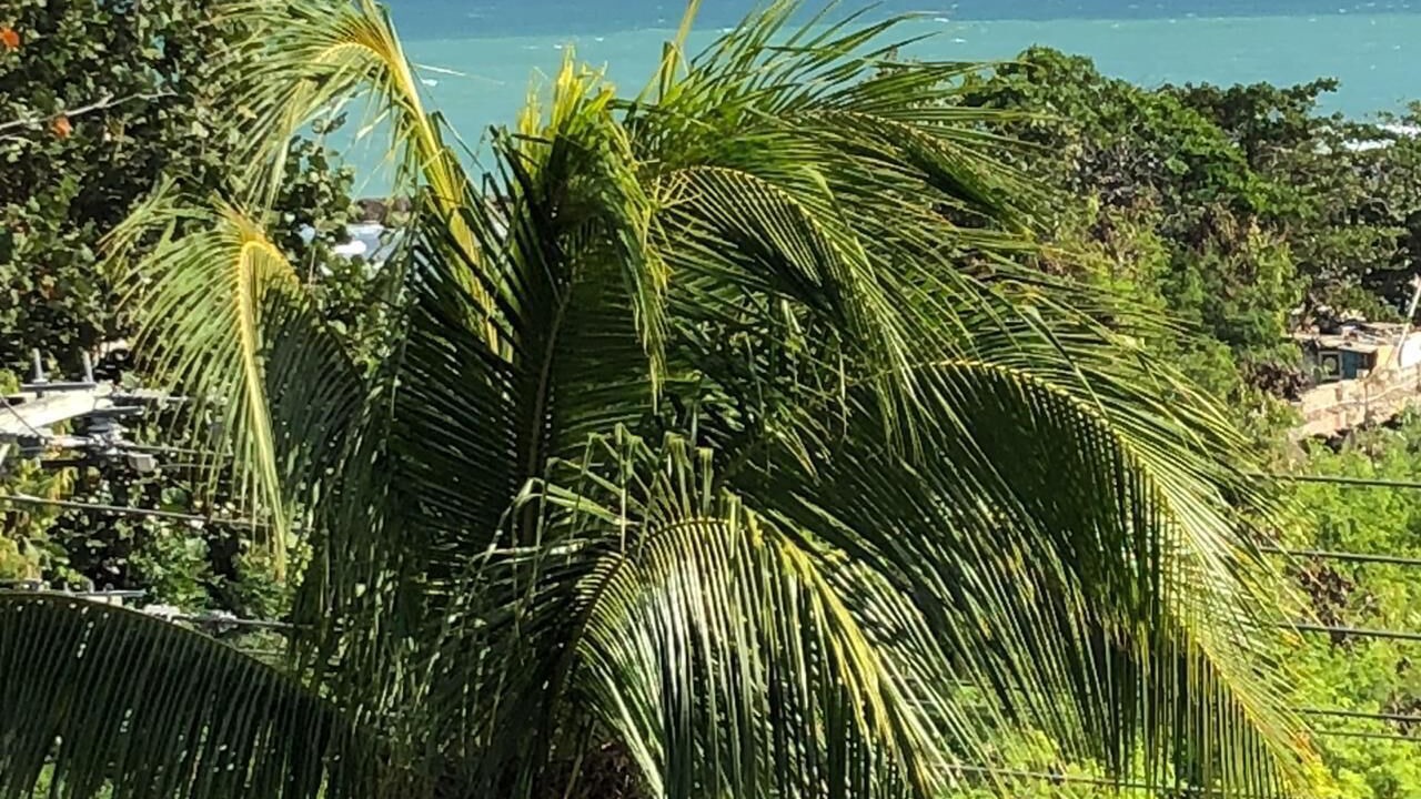Photo of Outdoor in Juan Dolio - El Pueblo