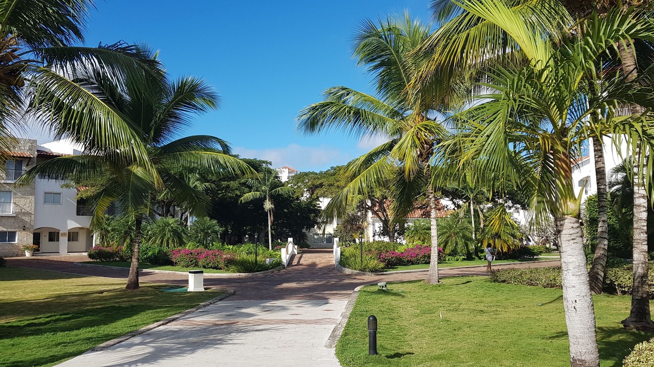 Photo of Outdoor in Guaraguao