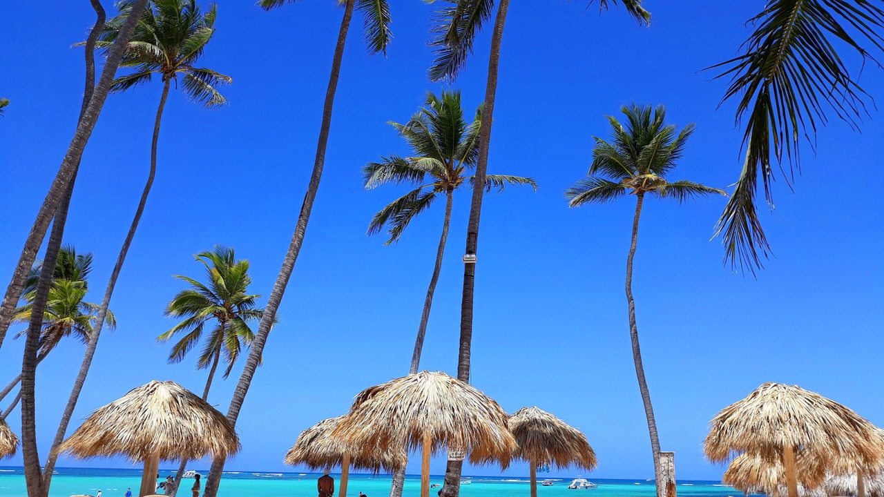 Photo of Others in Bavaro