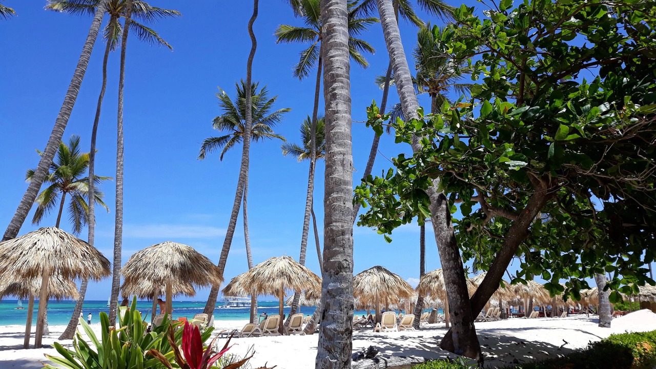 Photo of Others in Bavaro