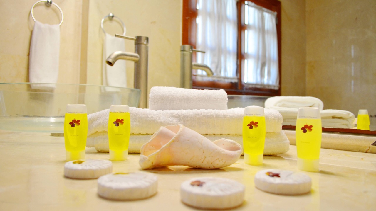 Photo of Bathroom in Bavaro