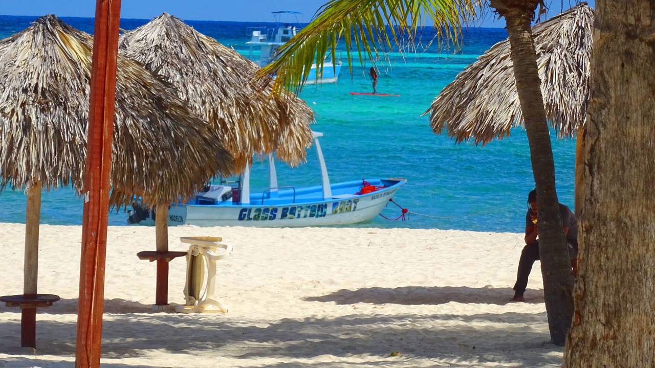 Photo of Others in Bavaro