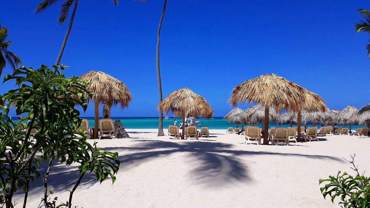 Photo of Others in Bavaro