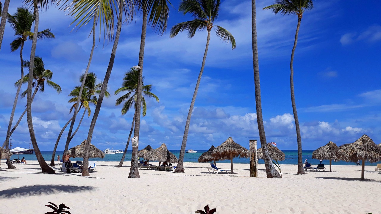 Photo of Others in Bavaro