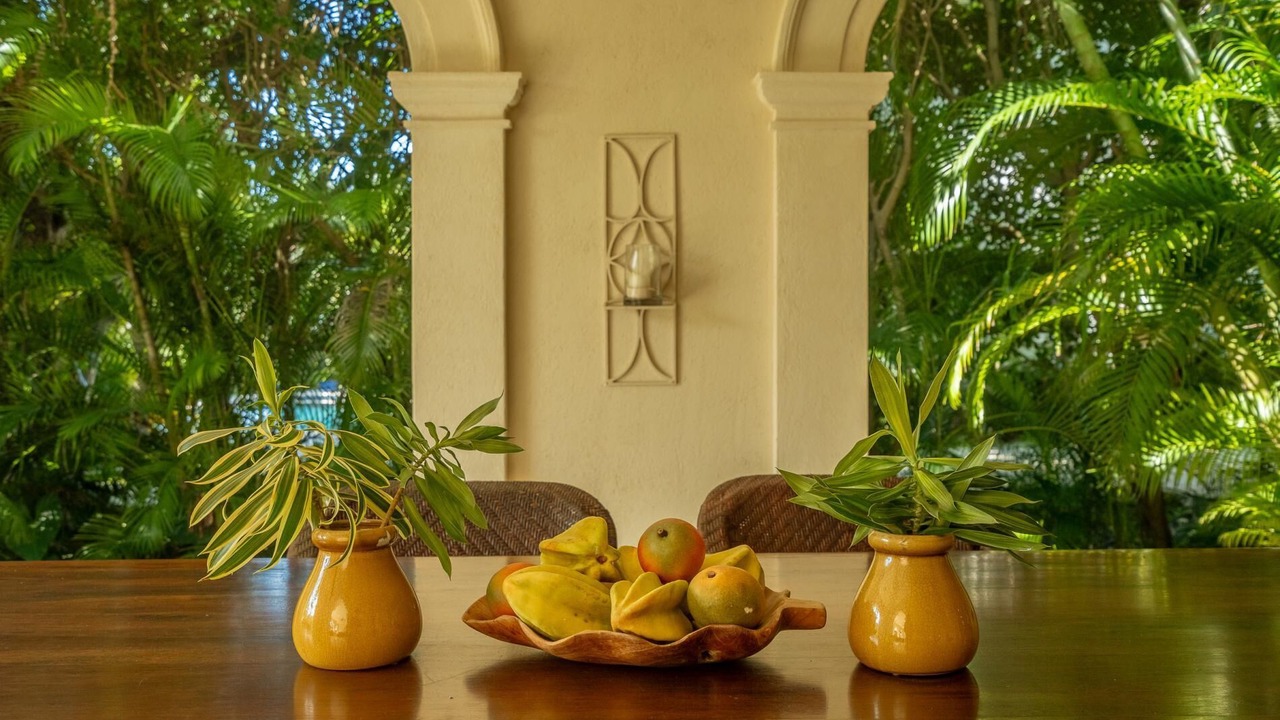 Photo of Outdoor in Punta Cana