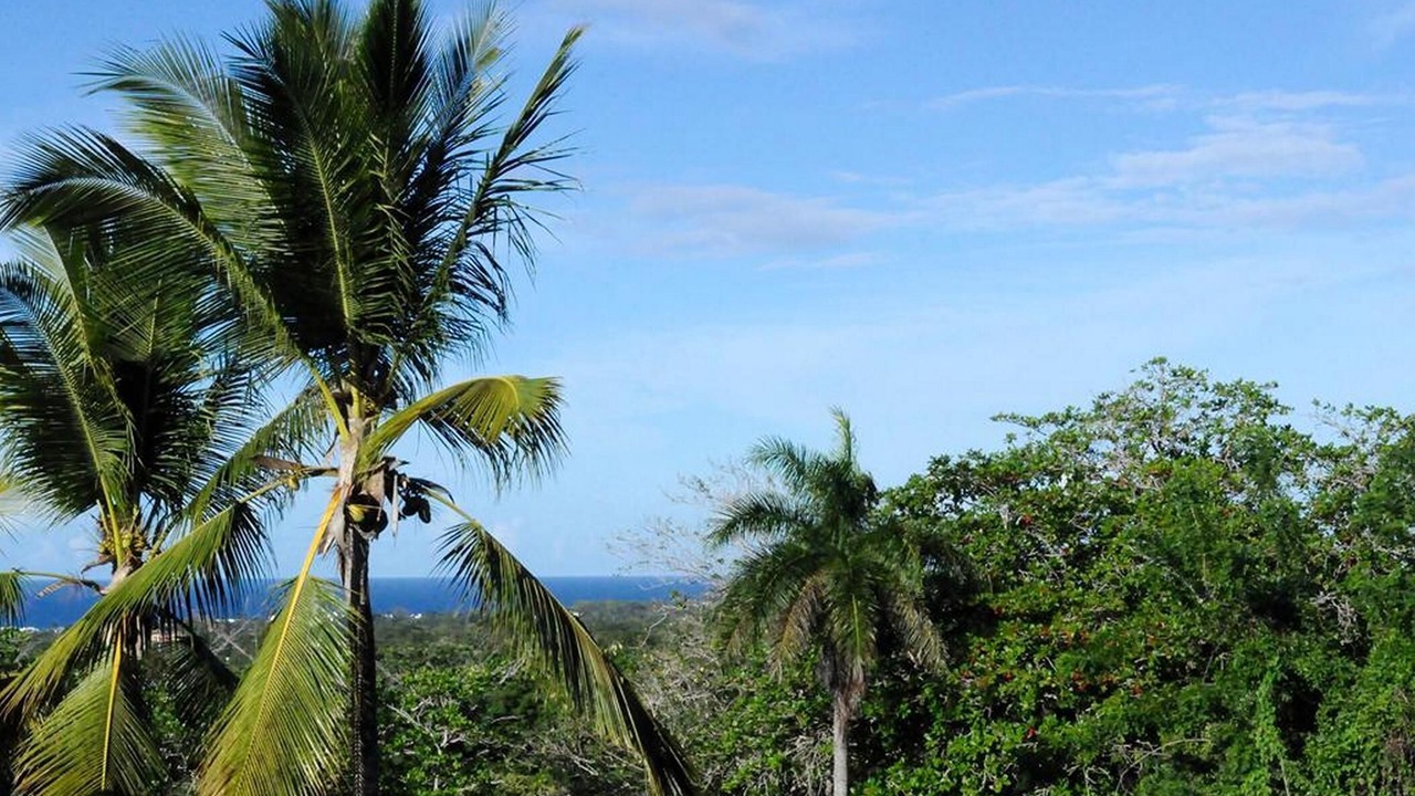 Photo of Outdoor in Sosua
