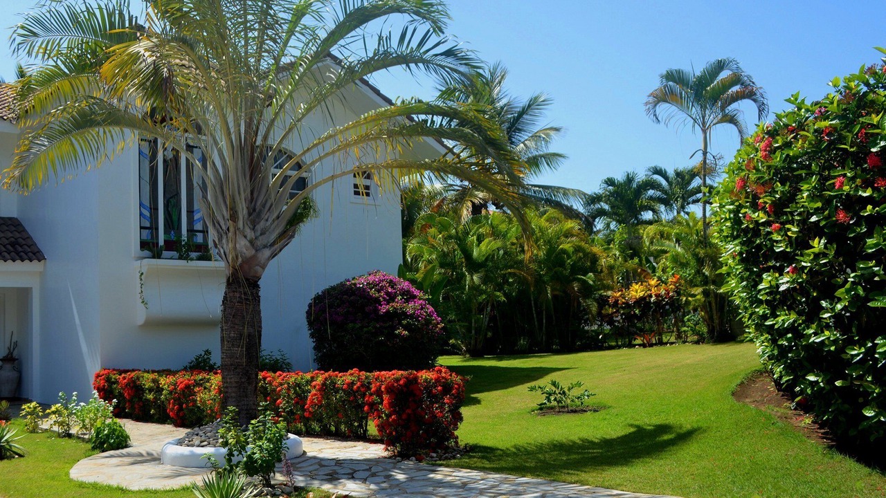 Photo of Outdoor in Sosua