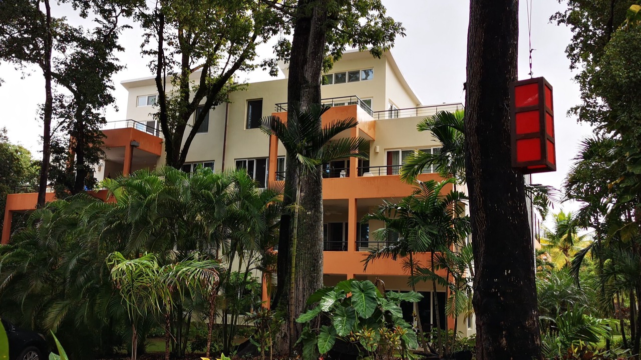 Photo of Outdoor in El Batey