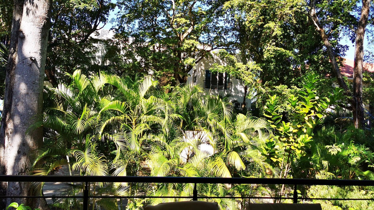 Photo of Outdoor in El Batey