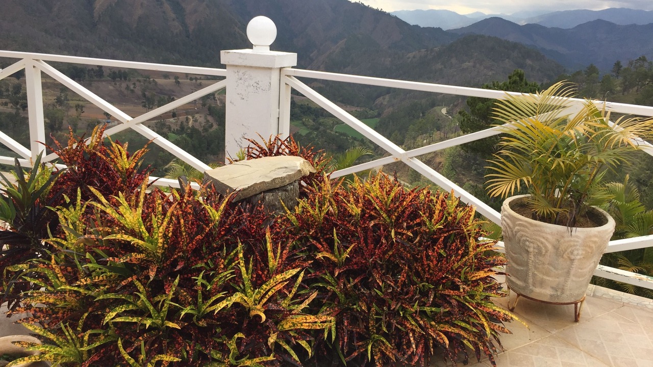 Photo of Outdoor in Constanza