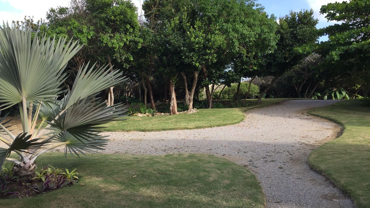 Photo of Outdoor in Cabrera