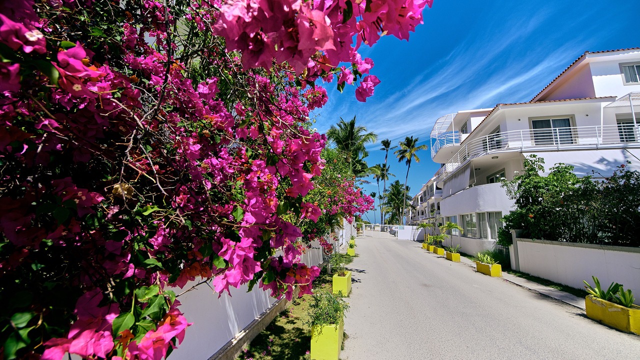 Photo of Outdoor in Bavaro