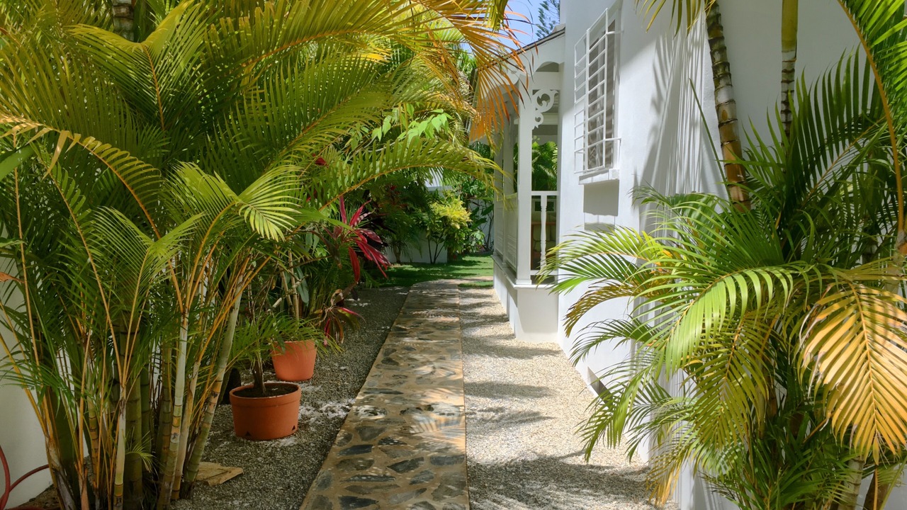 Photo of Outdoor in Las Terrenas