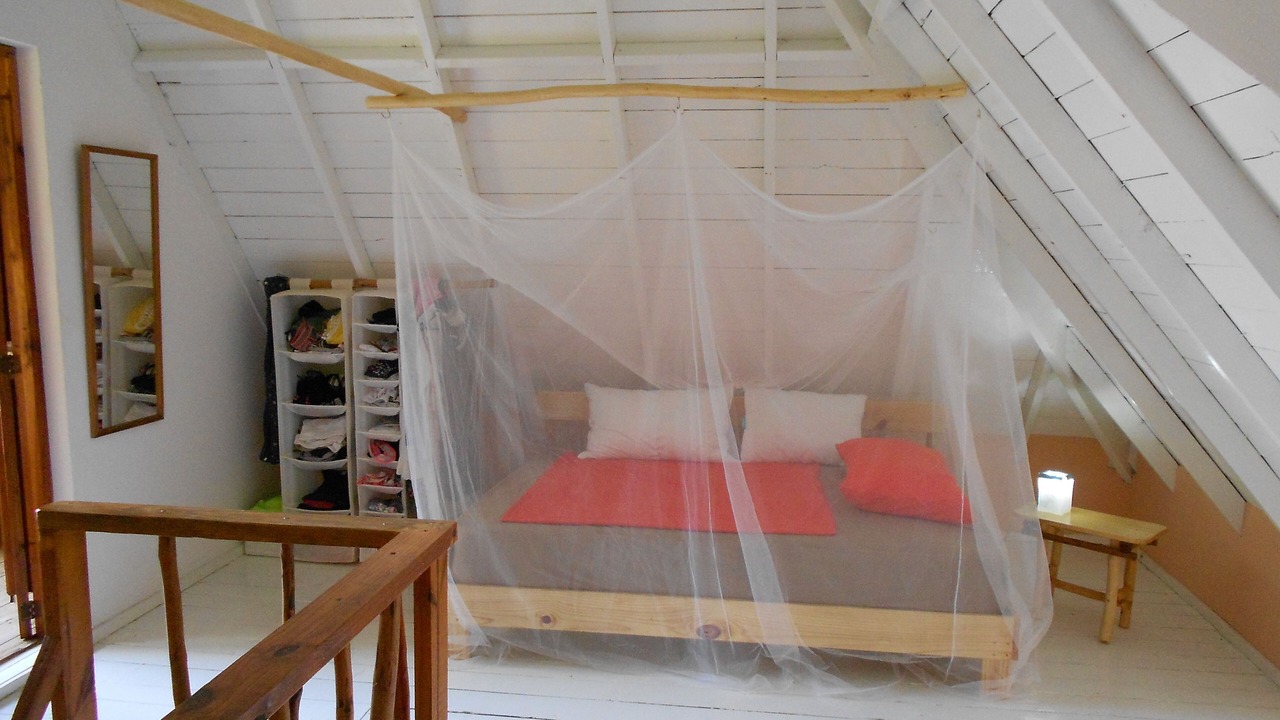 Photo of Bedroom in Las Galeras