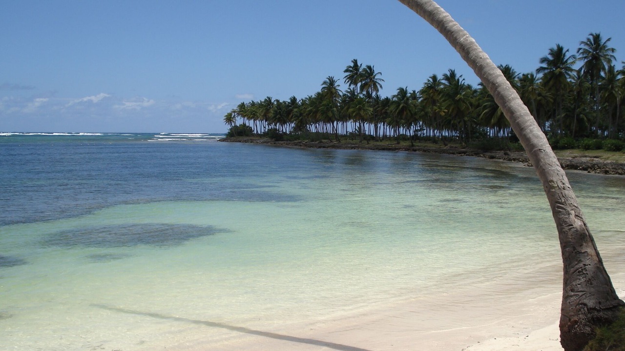 Photo of Others in Las Galeras