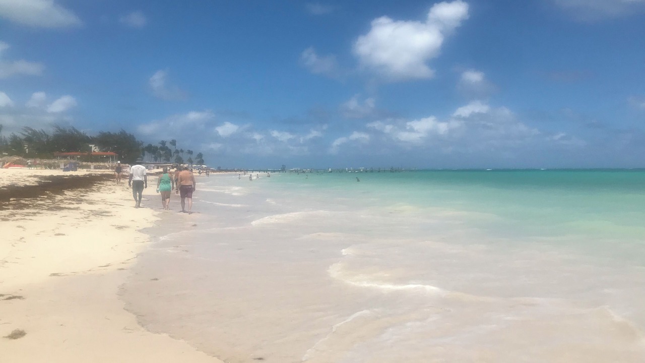 Photo of Others in Bavaro