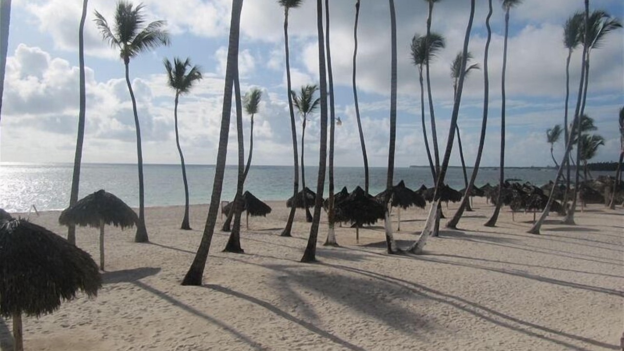 Photo of Others in Bavaro