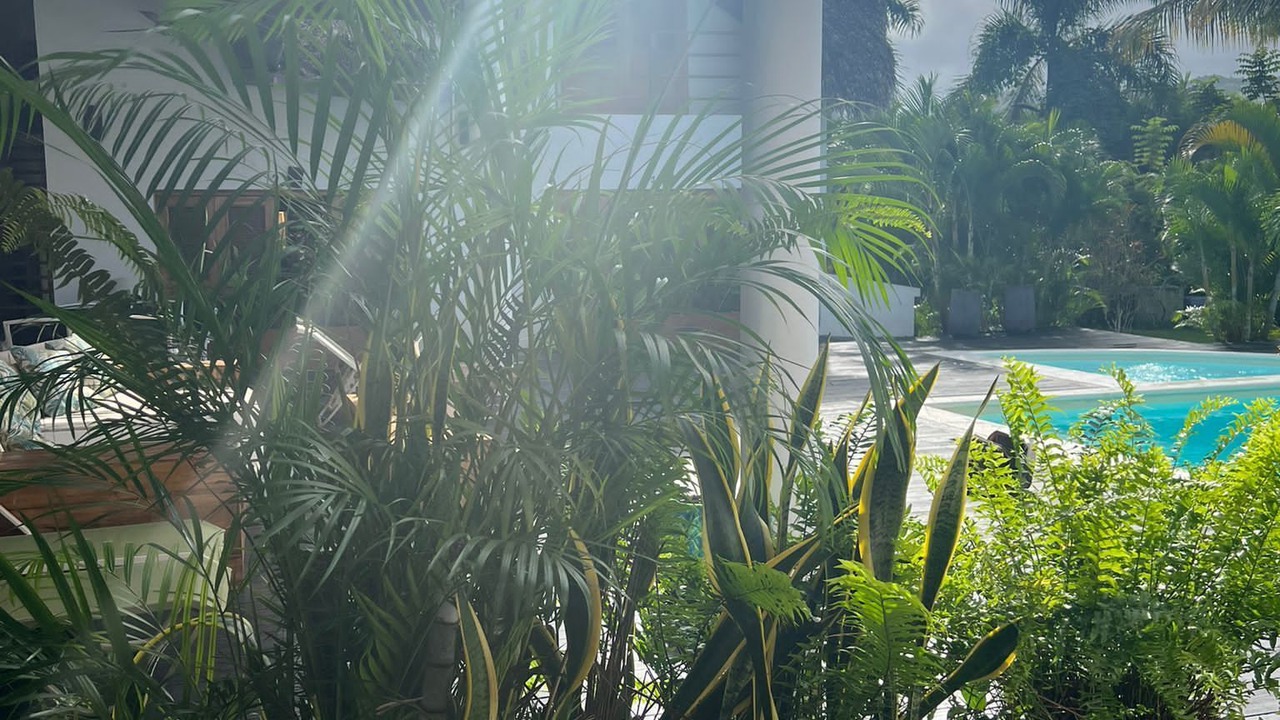 Photo of Outdoor in Las Terrenas