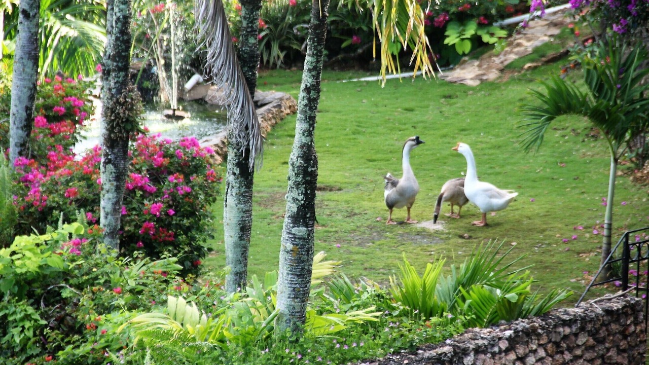 Photo of Outdoor in Las Terrenas