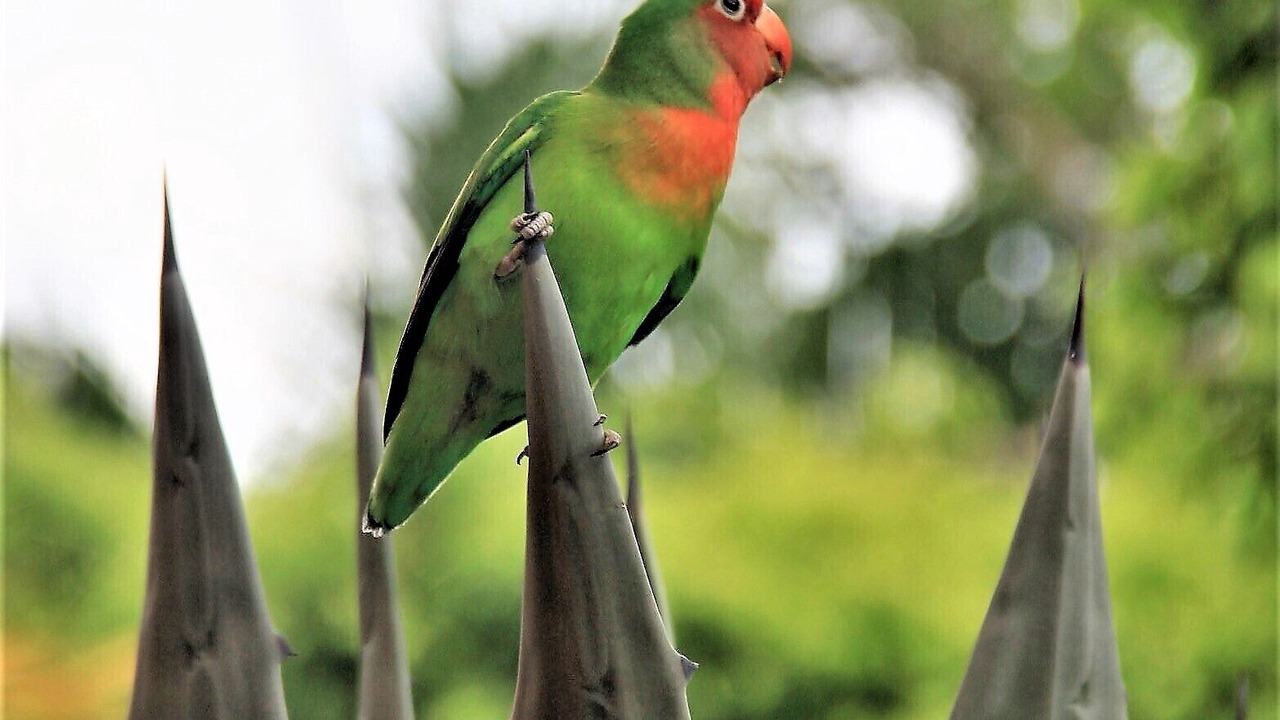 Photo of Outdoor in Las Terrenas