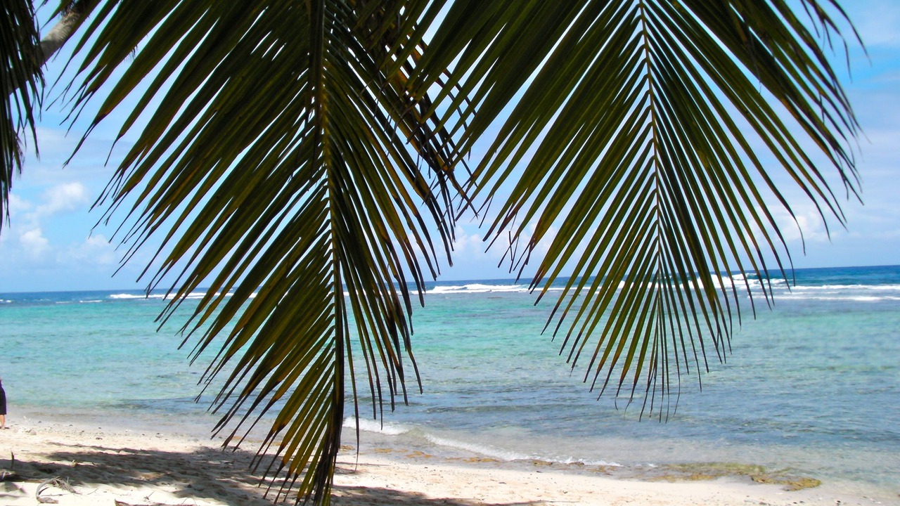 Photo of Others in Las Terrenas