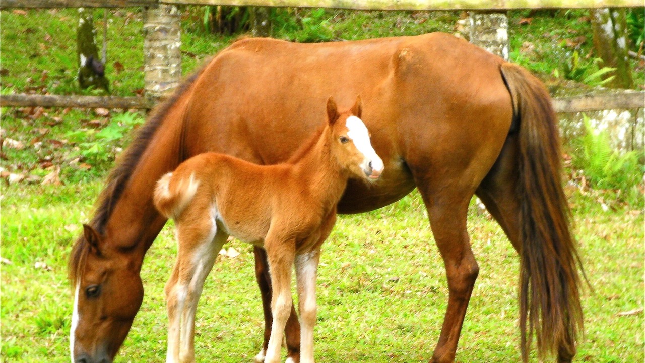 Photo of Outdoor in Las Terrenas