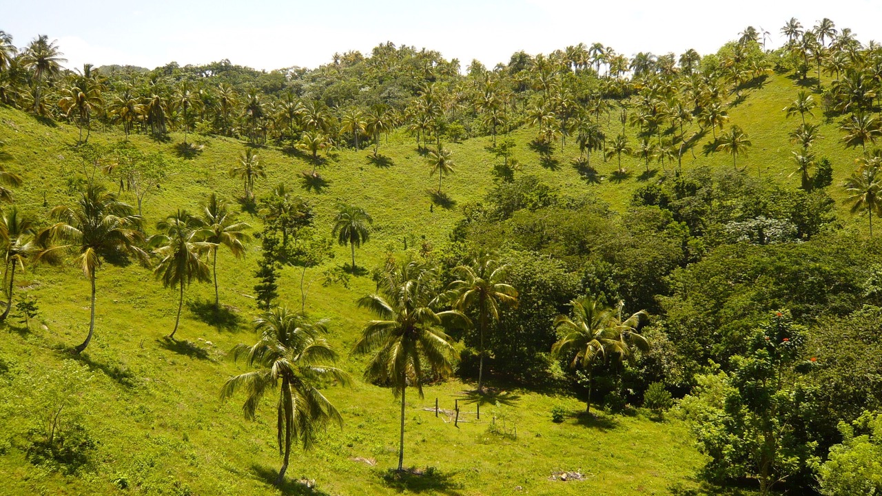 Photo of Others in Las Terrenas
