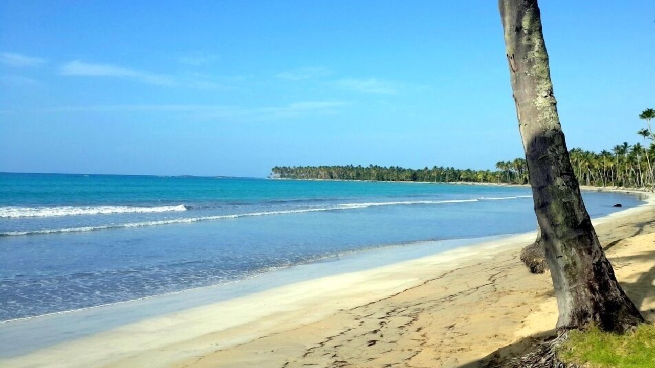 Photo of Others in Puerto Bahia