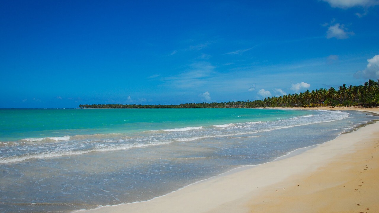 Photo of Others in Las Terrenas