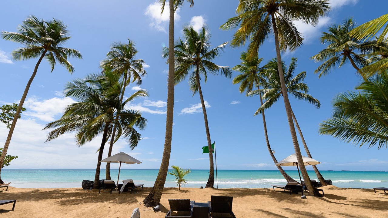 Photo of Others in Las Terrenas