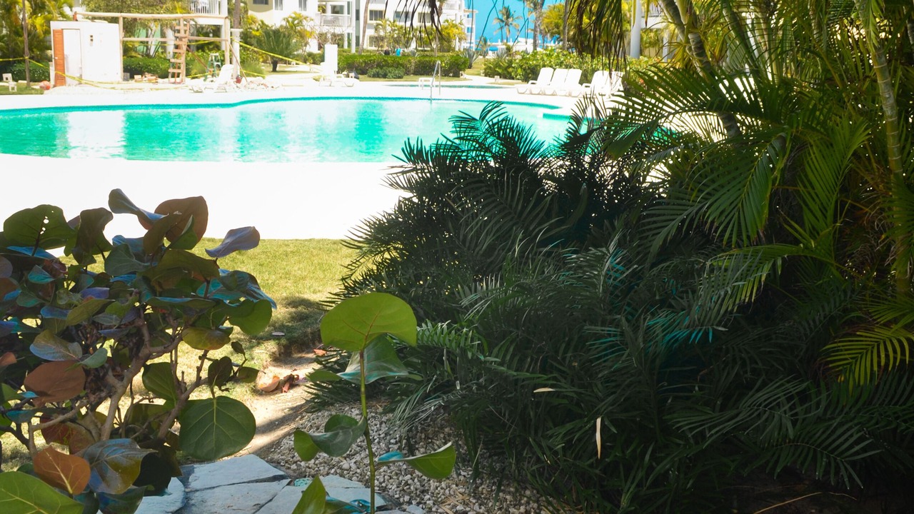 Photo of Outdoor in El Cortecito