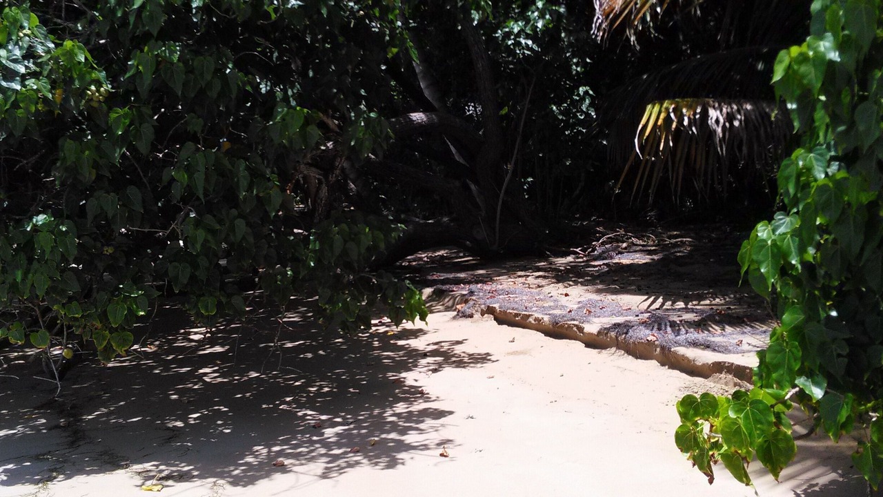 Photo of Outdoor in Las Terrenas