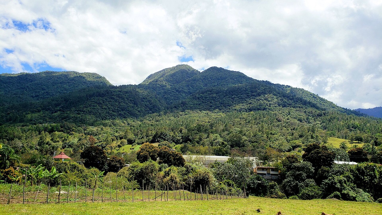 Photo of Outdoor in Jarabacoa