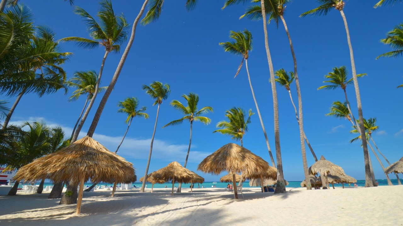 Photo of Others in Bavaro